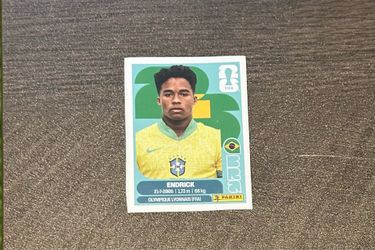Endrick panini sticker