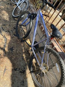 Bike/bicicleta