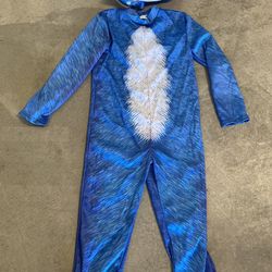 Sonic the Hedgehog Costume