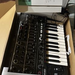 Mini Brute 2 