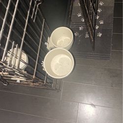 2 Dog Bowls