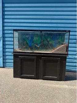 55 gallon fish tank