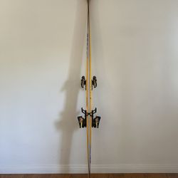 SKIS — SALOMON (previously owned by Janet Jackson)