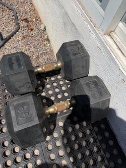 Hampton brand dumbbells pair 65
