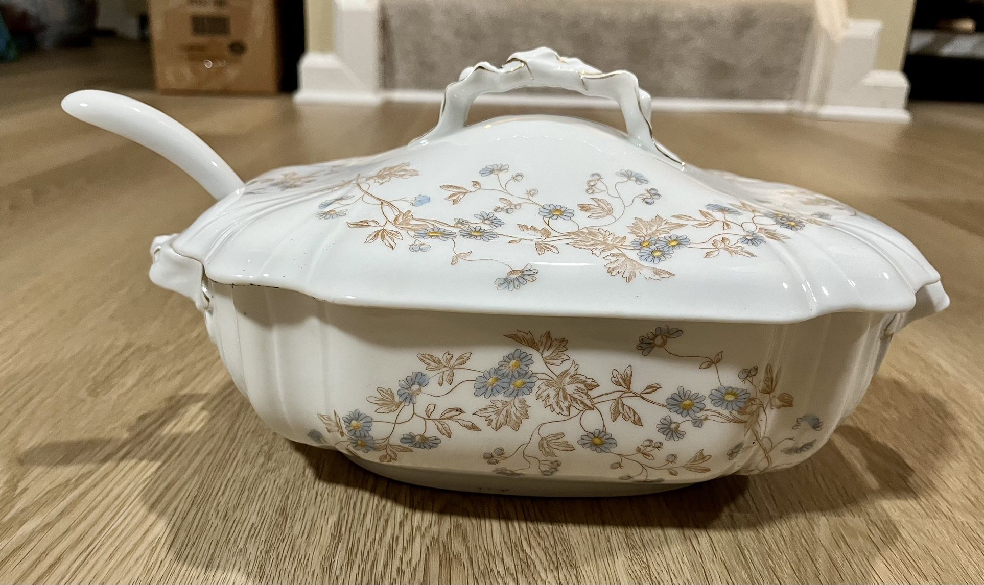 Vintage Austrian China Soup Tureen, Ladle, Gravy Boat and 6 Small Plates