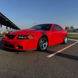 2003 Mustang Cobra 10th Anniversary 
