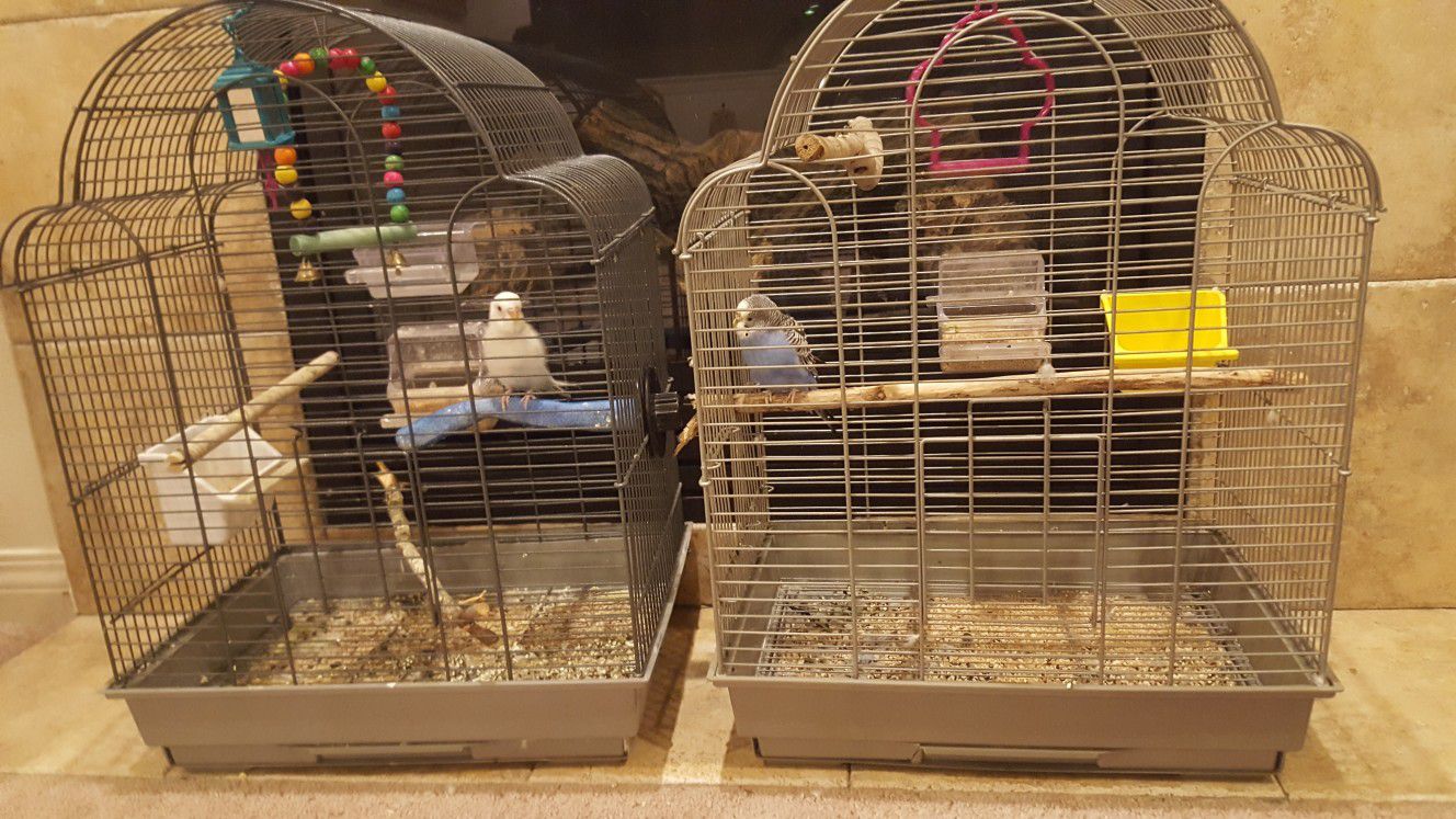 Parakeet Cages
