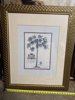Florida Wall Decor Framed Art - 33”x27”