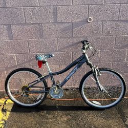 Specialized HotRock 24in Bicycle