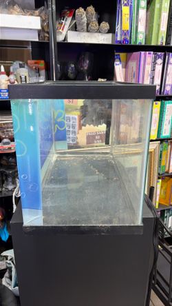 Glass Fish Tank with SpongeBob Background