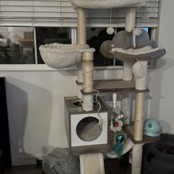 Cat Tree 