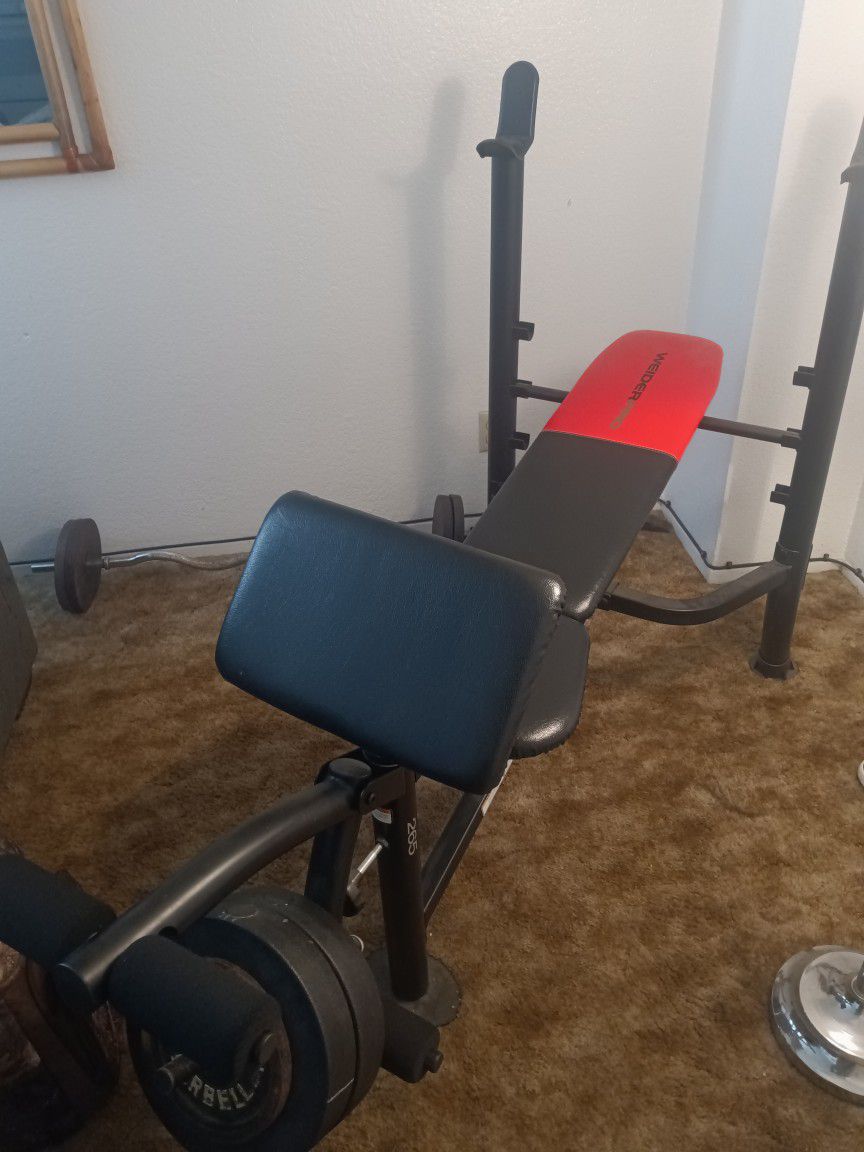 Weight Bench And 100 Lbs Of Iron
