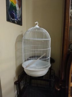 Bird Cages 
