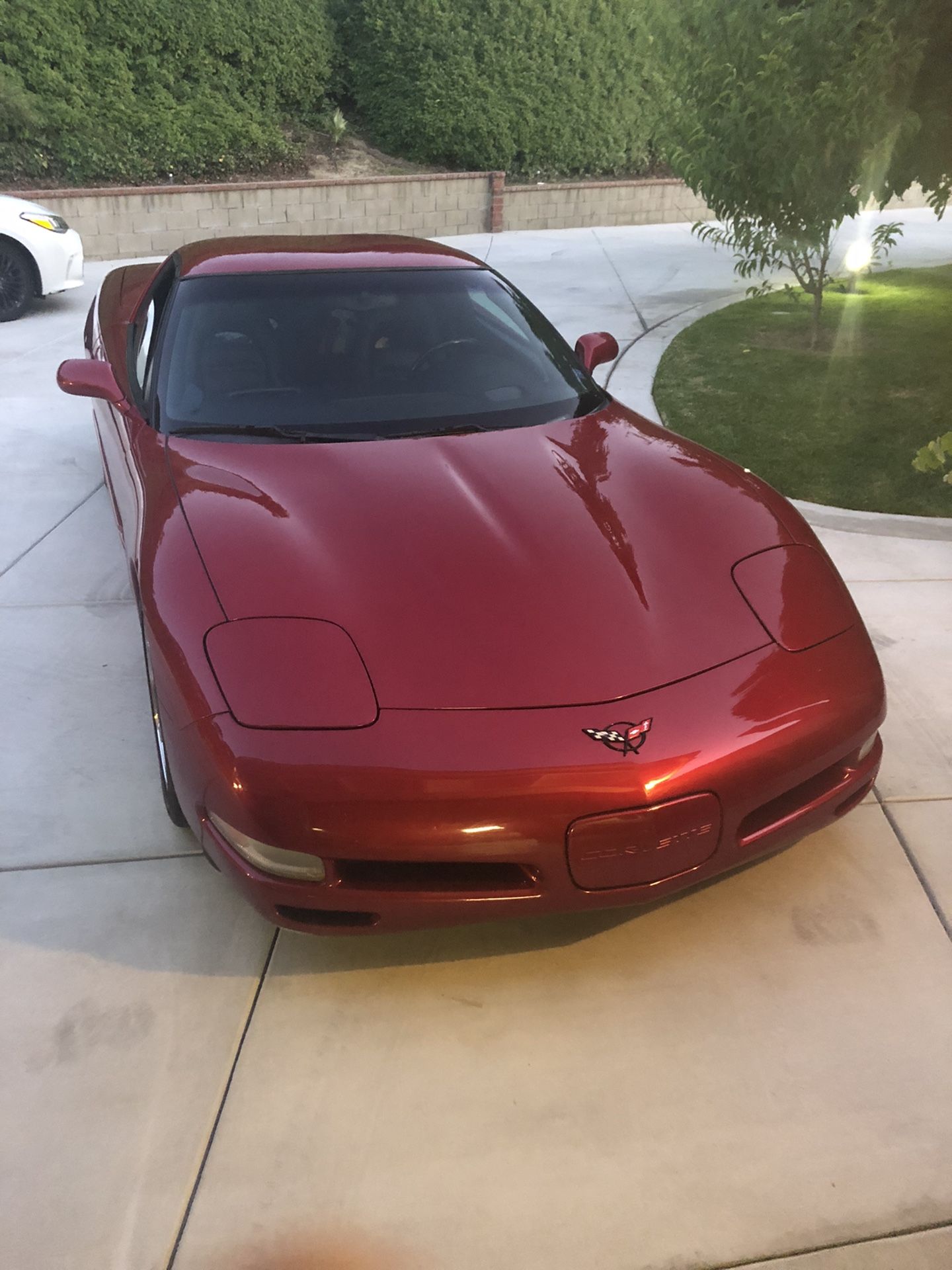 2001 Chevy Corvette