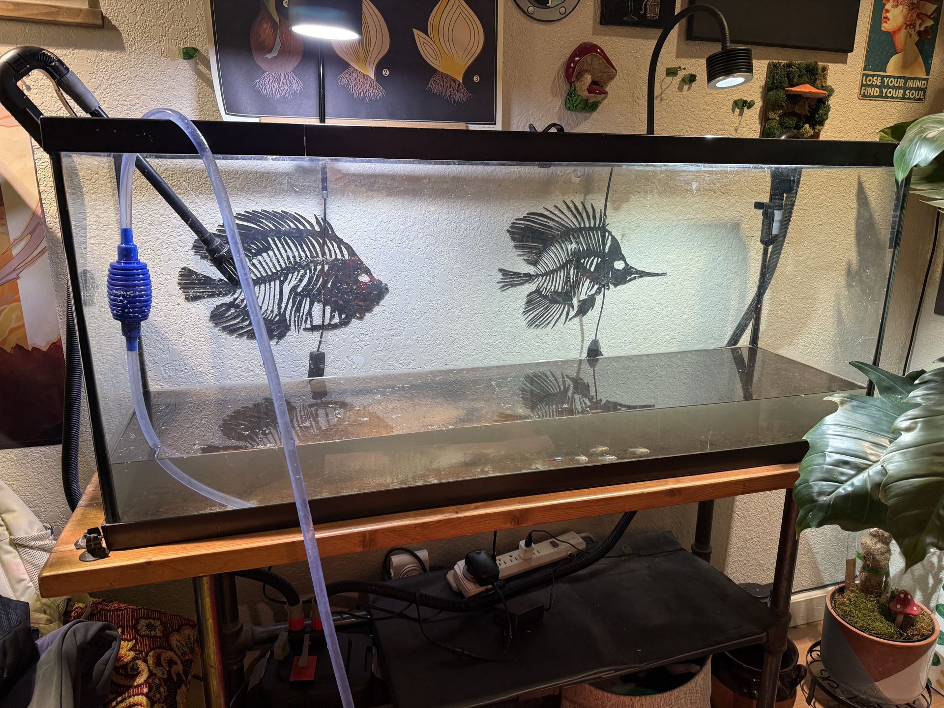 Free Tank