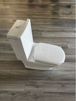 European Style Toilet