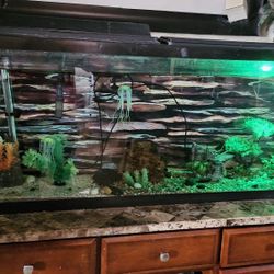 75 Gallon Fish Tank, Awesome Filter, Air Pump And Accessories 