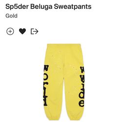 Sp5der Sweats (Large) 