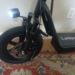 Electric Scooter 