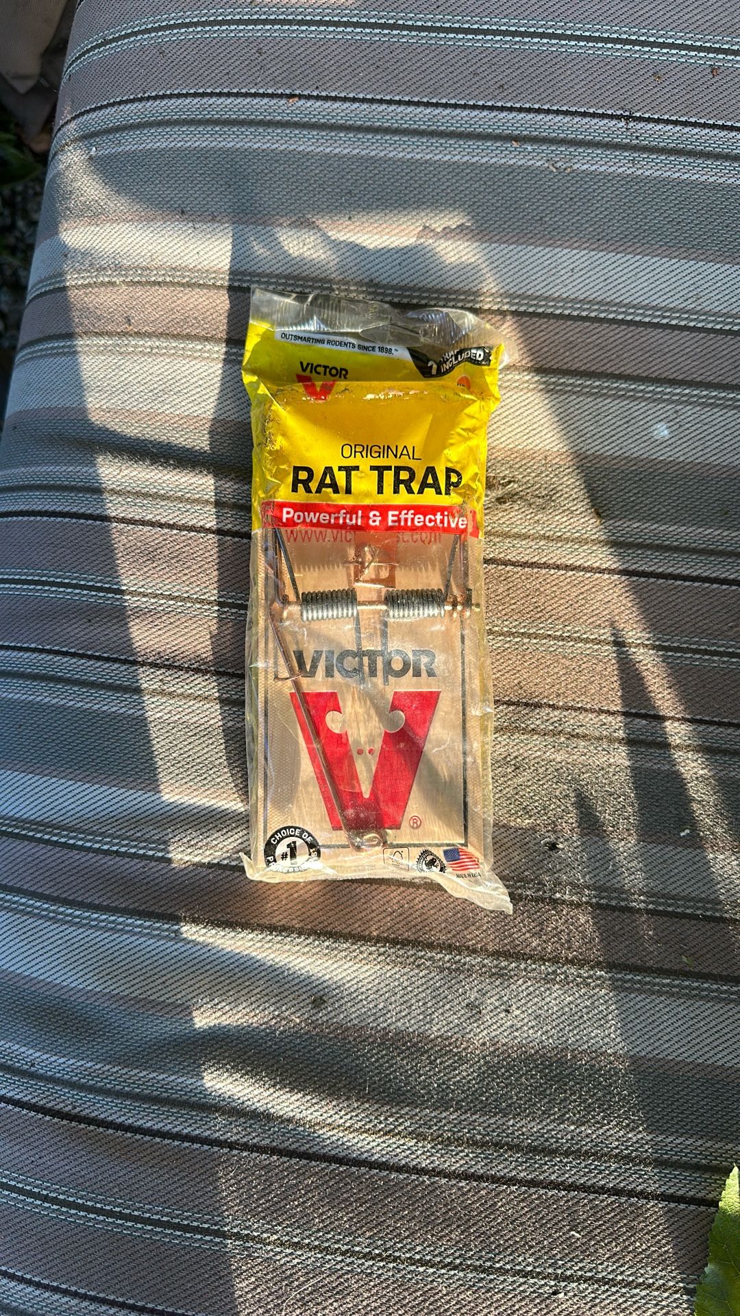 Rat Traps