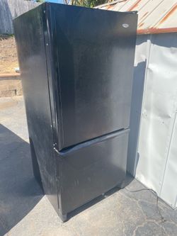 Free Fridge + Freezer