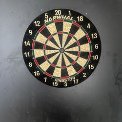 Real Dart Board 
