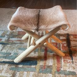 Folding Stool 