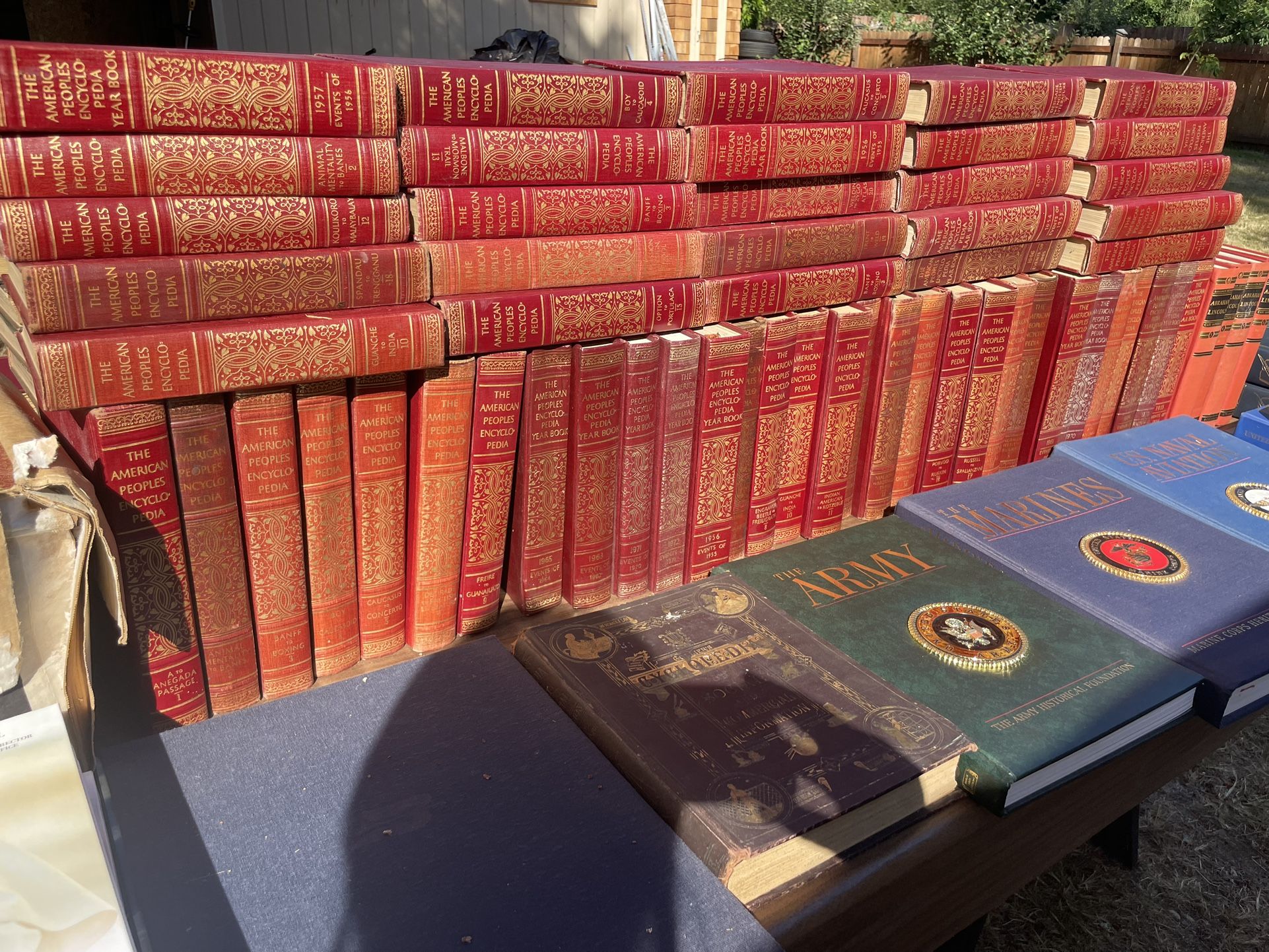 American Encyclopaedia And Books About USA History