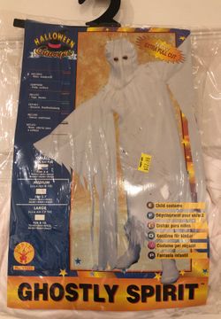 Ghostly Spirit Costume