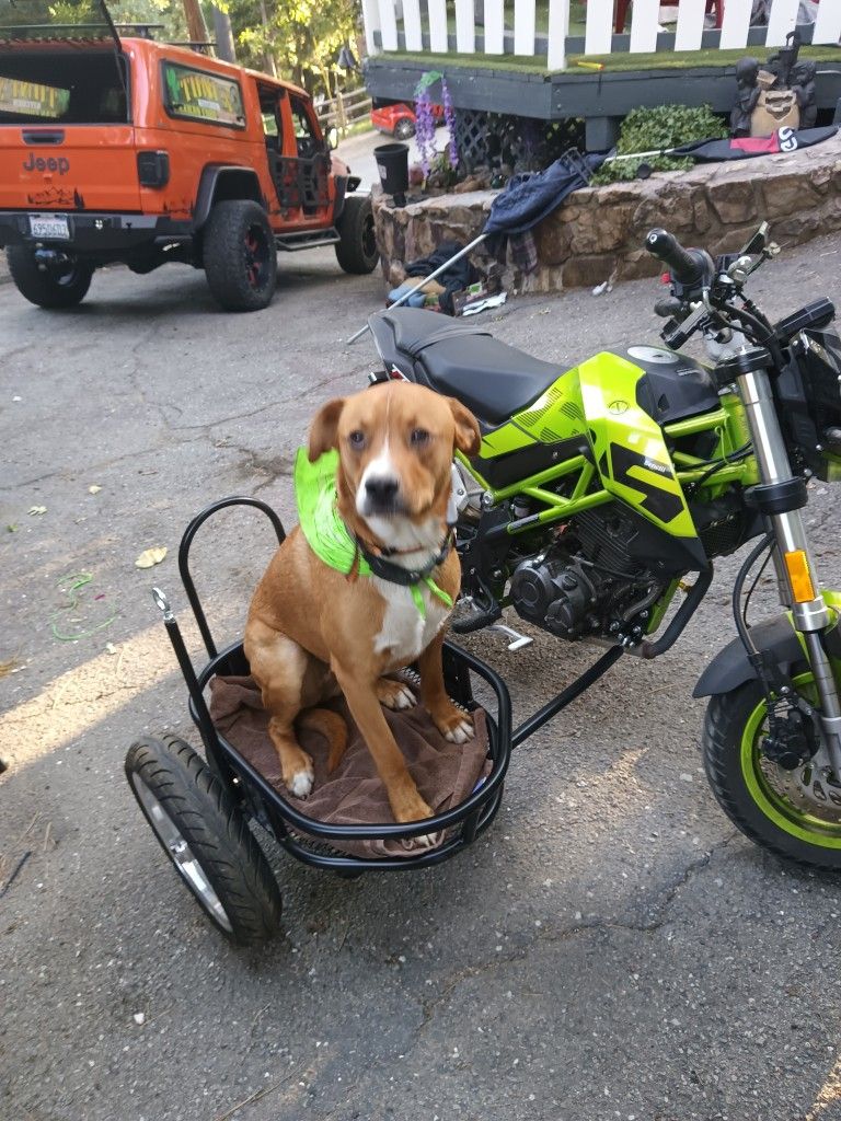 Sidecar For 2021 Z125 Pro Kawasaki. for Sale in Crestline CA OfferUp