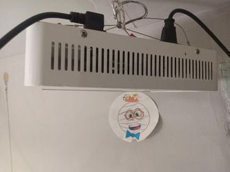 LED Grow Lights Works Great Only $45 Can Deliver 
