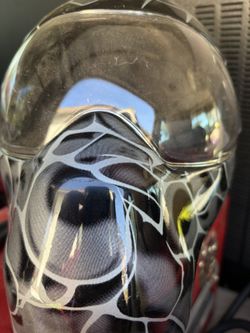 Snap-On Face Protector Shield
