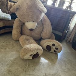 Bear