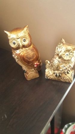 Owls $ 10 both