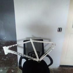 Cannondale Frame