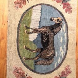 Antique Hooked Rug Unusual