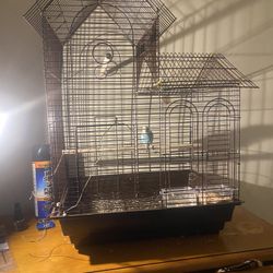 Bird Cage And Bird With Food