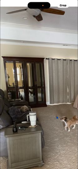 Large glass and wood cabinet