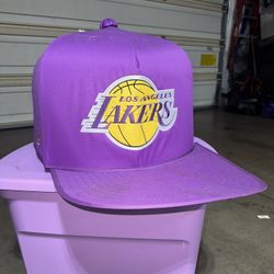 Laker Dog Bed/ Hut