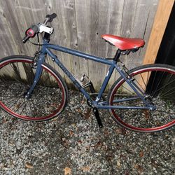 Surly Cross Check bike gray chromoly fixie Brooks saddle Velocity deep V wheels freewheel threads 46mm 18 in

Surly is a famous well-regarded brand 