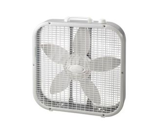 Fans