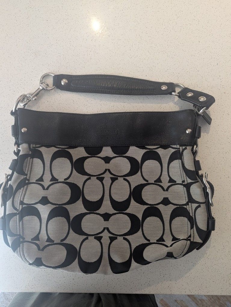 Coach Zoe Hobo Bag