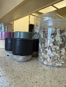 Plant Holders, Glass Vases And Shells