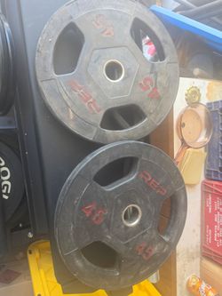 Rep fitness 45s