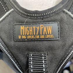 Large, mighty paws, dog harness