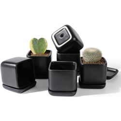 New in box Square Succulent Plant Pot - 3.5 Inch Matte Black Ceramic Small Planters for Cactus Succulent with Drainage Hole & Saucer, Set of 6