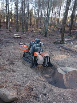Stump Grinding 