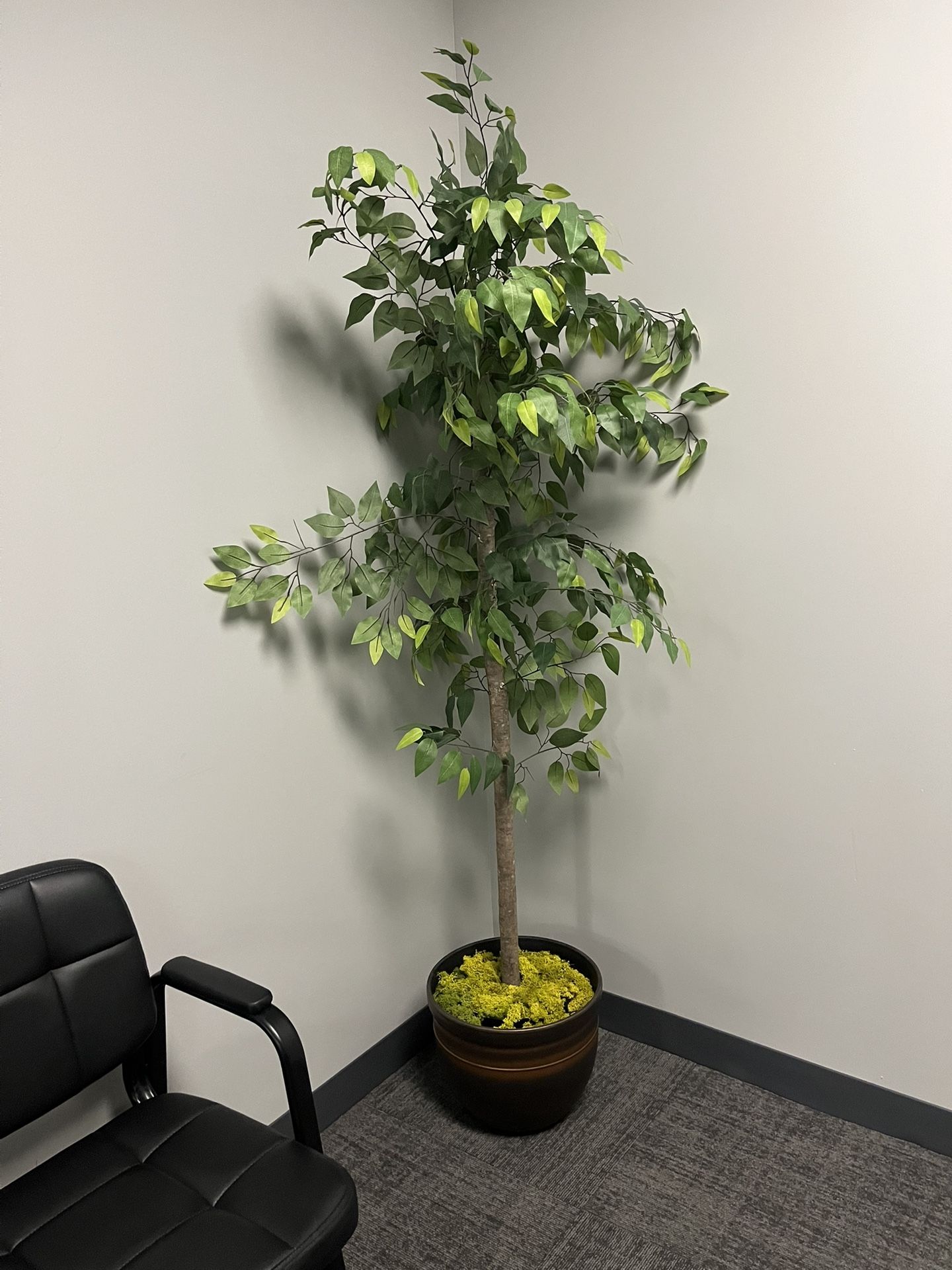 Modern Fake Plant Decor - 11 Available