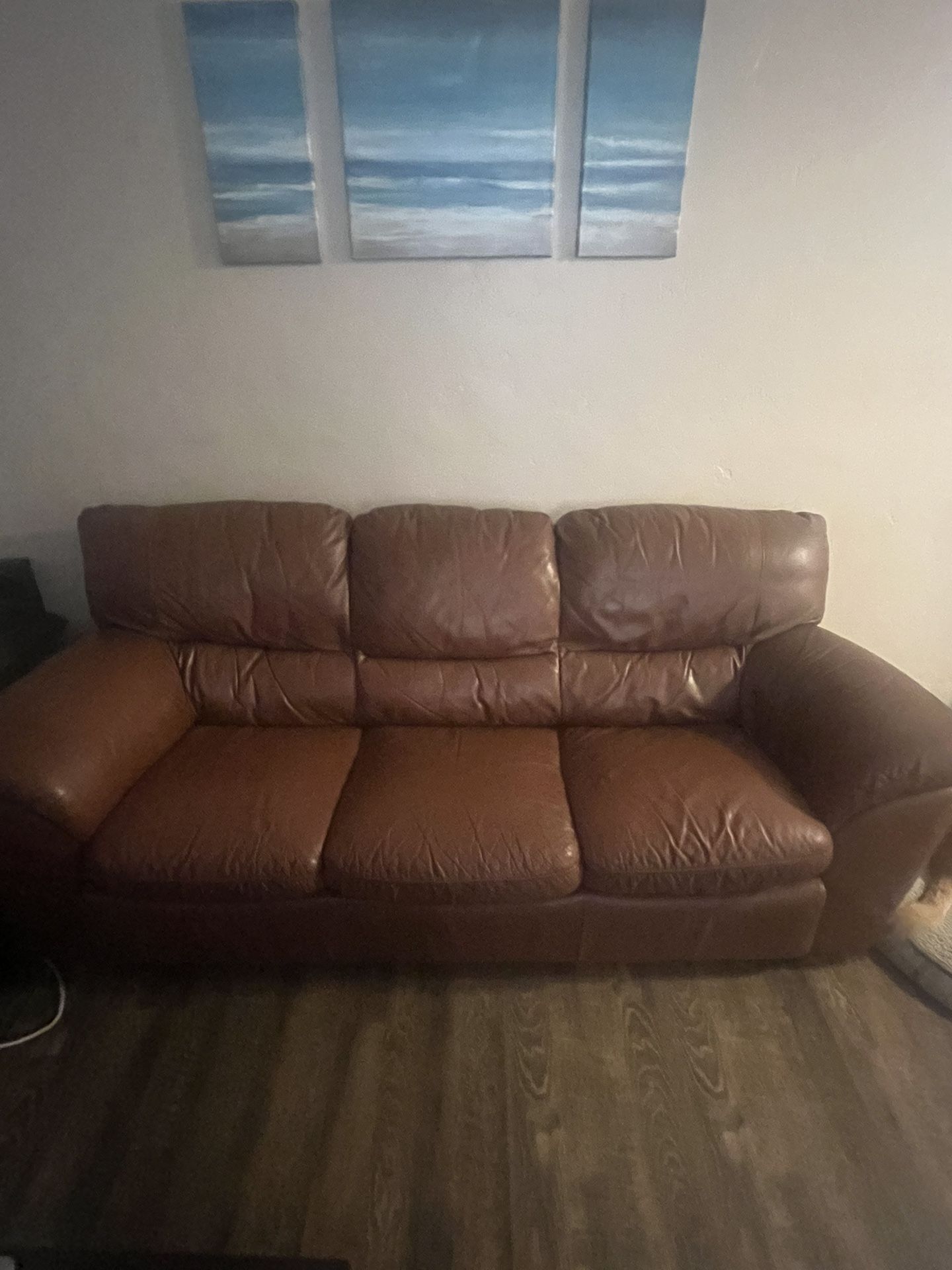 Couch With Pull Out Mattress