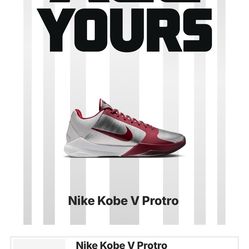 Kobe V Protro Size 14